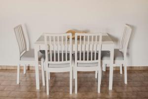 1 Bedroom Apartment in Portimão, Praia da Rocha