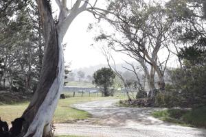 Bush Rock Touchdown Cottages