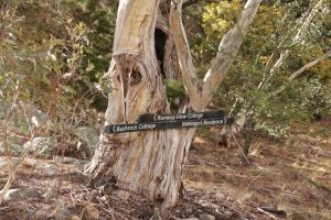 Emu Rest Touchdown Cottages