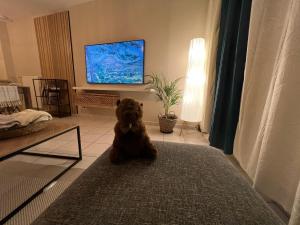 Hygge Colmar - Proche centre ville parking gratuit