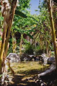 Cabaña Maclovia Escapada Todo Incluido en El Ganthe