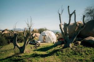A Cozy Fireside Glamping Escape with Ridge Views