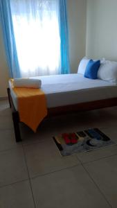 Talimu Luxury apartment