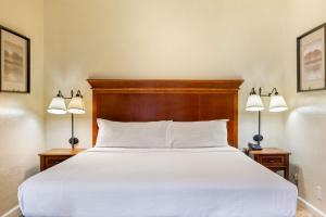 Oak Boardwalk Studio