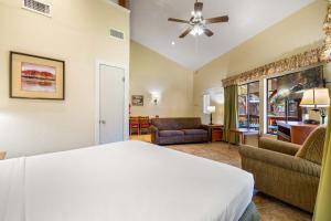 Oak Boardwalk Studio