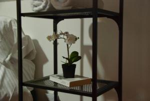 Hostal y café Loto de Belén