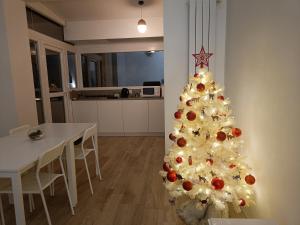 Art & Garden Gemelli - Metro A - Vaticano