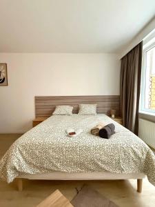 Cosy studio en plein centre pour 2 personnes