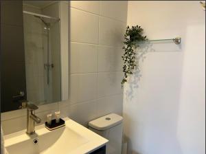 Santiago Centro I Alameda I La Moneda