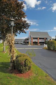 Elmwood Resort Hotel