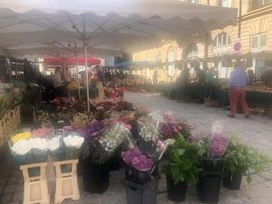 Versailles Belvedere chic loft view
