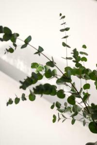 Chic Georgian Escape, Central Bath