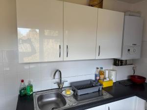 Bright & Cozy 1-Bedroom Flat in a Quiet Sutton