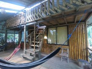 Sacha Wasi - Jungle Medicine Community