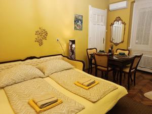 Budapest Central Vintage Apartment