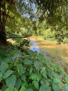 CABANA CACAU - Charme na beira do Rio