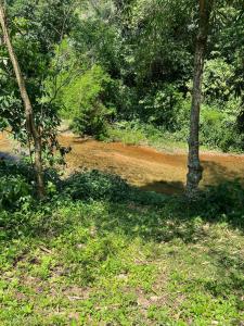 CABANA CACAU - Charme na beira do Rio