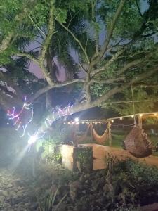 Figueira do Rio do Boi Com Hidromassagem