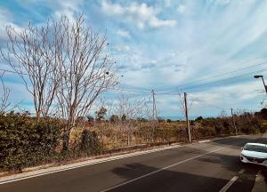 Gli occhi del vulcano