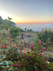 Apartament on the edge of the Teide National Park