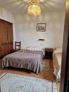 Apartament on the edge of the Teide National Park