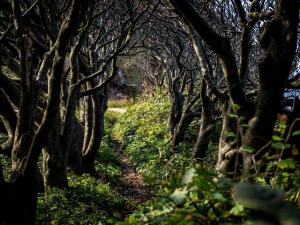 6 person holiday home in Nykøbing Sj-By Traum