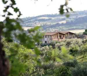 Villa Mario & Friends