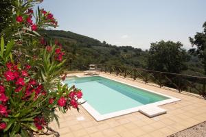 Villa Mario & Friends