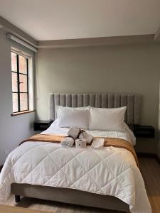 CasaSue Living Hotel