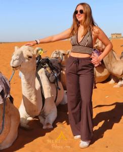 Merzouga Polaris Camp