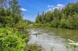 Riverfront, Authentic, Luxury Log Cabin-Bison