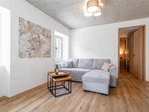 Hopfgarten Alpin Living Top 1