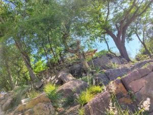 La Morada del Arroyo