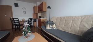 Divčibare Snežna Kraljica ap 13