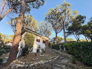 Apartment near Beach in Eraclea Mare 53889