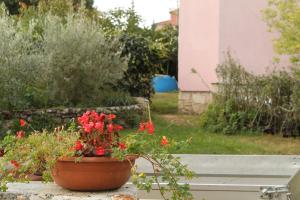 Apartment Rovinj 3394b