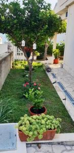 Apartment Podaca 6875a