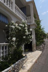 Apartment Metajna 6426c