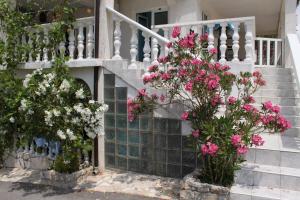 Studio Metajna 6426a