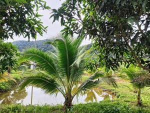 Bansuan Lanta Maikaew