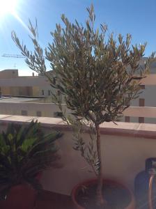 VillaMarì Apartment img29