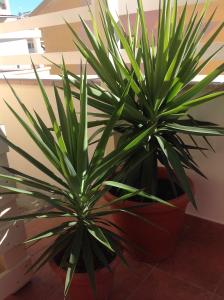 VillaMarì Apartment img30