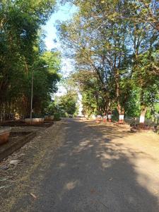 The Urban Nest - Bliss Studio Apartment with Private Balcony