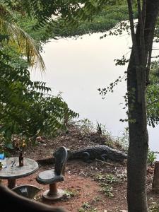 LakeSide Cabana Tissamaharama