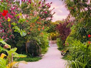 Coral Castle - Goidhoo Maldives