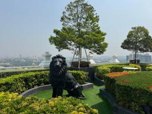 Sky Pool Apartment Hotel Near the Beach