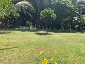 Khao Sok Evergreen House