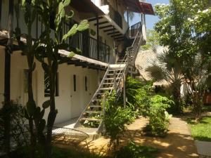 Dogsheltercafepalomino