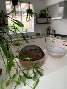 Botanico - family house