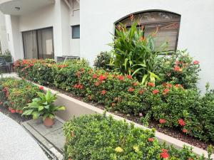 Monaco Condominums, Unit 7, Pool View Condo in Jaco, Puntarenas